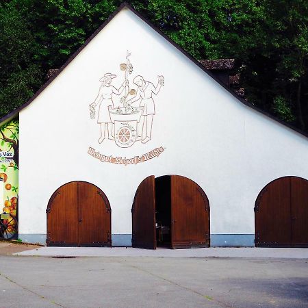 Scherfsmuehle Am Muehlbach Waldrach Luaran gambar